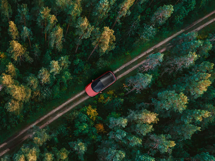 Forêt vue du ciel